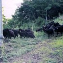 절골농장 이미지