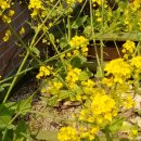 숲속나라 어린이집 이미지