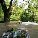 수.보리밥 이미지