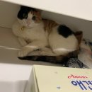 활주로노래방 이미지