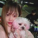 나정주유소 | 나정고운모래해변 모닝으로 차박하기 : 반려견동반여행 : 사회적 거리두기 캠핑 : 경주 오토캠핑장