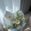 블룸더소브니