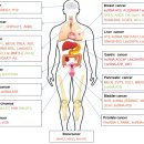 Re:TGF-β-Mediated Epithelial-Mesenchymal Transition and Cancer Metastasis 이미지