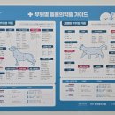 만세약품 이미지