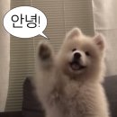 제주문화방송 주식회사 | 제주 야키토리 오마카세 최고 존엄 고수 야키토리 제주공항점 예약후기