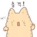 센텀벨라 19단지 이미지
