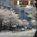 남도한상 | [봉천역]가성비 최고 벚꽃 뷰와 함께 즐기는 푸짐한 한정식 남도한상 솔직 후기