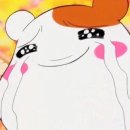 춘천산업 | 한국바이오협회 GMP 교육과정 면접 후기 (춘천바이오산업진흥원)