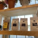 커피 옵저버토리(coffee observatory)