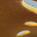 펫홀릭더라이프 이미지