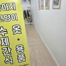 문해담펫푸드아카데미학원 | 울산 강아지 수제간식 원데이클래스 ❤️ 문해담펫푸드아카데미