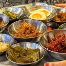 테크노카랜드 Daum카페