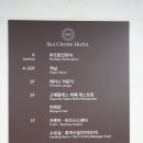 씨크루즈호텔속초 | 속초 설악대교와 청초호 뷰를 자랑하는 씨크루즈호텔속초 숙박후기!