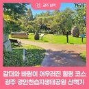 경안천 | 갈대와 바람이 어우러진 힐링 코스, 광주 경안천습지생태공원 산책기
