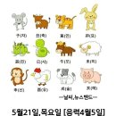 5월21일 목요일 이미지