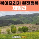 지에스25신가진만점 | 북아프리카 알제리 패키지 여행 후기 | 알제리의 폼페이 제밀라 유적지 탐방