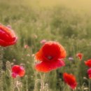 같은마음 이미지