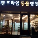 프라임 동물병원 앞 이미지