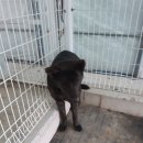 벌교주유소 이미지