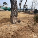 포레동물병원 | 서산 수석동 야외 반려동물동반 카페 포레담 내돈내먹 후기