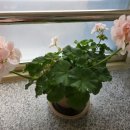 (주)아몬드소프트 이미지