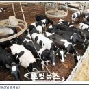 다복목장 이미지