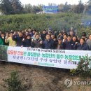 신효동-31 연합뉴스