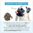 멍삼이네 이미지