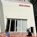 프롬퍼피 이미지