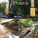 개나리산장 이미지