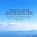에서 - 화성시 | 에서