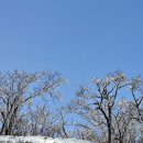 겨울여행 이미지