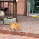 서운체육공원 (운동장 입구) | 경남 합천 현지인 맛집 해장하기 딱 좋은 3.3국밥&amp;국시 추천