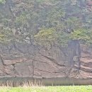 울주 대곡리 반구대 암각화 이미지