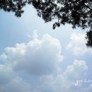 원당농장 | 서울근교에 있는 경마공원,"원당종마목장" 힐링 나들이 다녀왔어욤 >0<