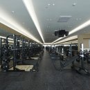 시그널 크로스핏 이미지