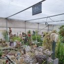 한빛 꽃농원 이미지