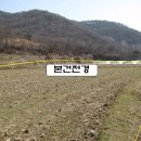 대전충남양돈축산업협동조합 이미지