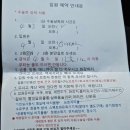 [임신35주차~36주차]수술 전 검사/임산부친환경농산물꾸러미/일룸 쿠시노 구매(데이베드 졸업)/이것저것...