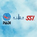 대둔산로(1) | 대전 프리다이빙 PADI 레벨2 자격증 취득 강습 1일차 후기