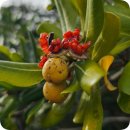 포항시남구호미곶면대동배보건진료소 | 해파랑길 15코스: 호미곶등대.. 251213