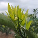 문장부동산공인중개사사무소 이미지