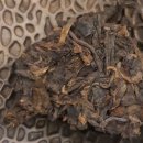 홍인유통 - 천안시 서북구 한들1로 87 | 홍인(紅印)'이란 ? 인급차(印級茶)