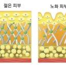제이율뷰티