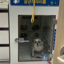 우신펫샵 이미지