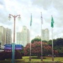 시민운동장 씨름장 이미지