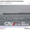 돌고래민박 이미지