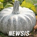 토우의원 이미지