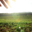 안현농장 이미지