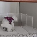 아람동물의료센터 이미지